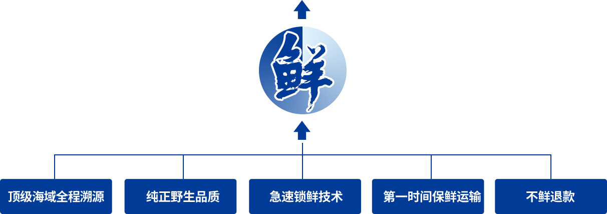 即食海参,淡干海参,冬虫夏草