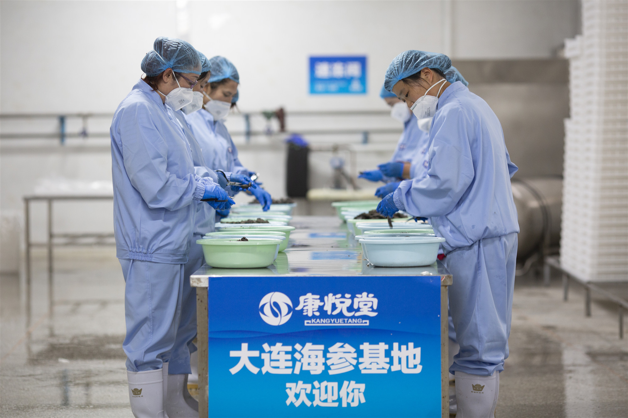 康悦堂海参宣传片